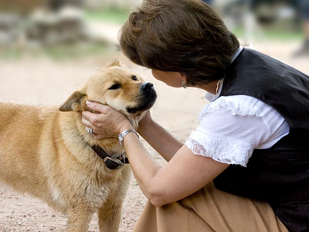 10 Cosas Que Tu Perro No Soporta (¡Y Aun Así Las Haces!) 2