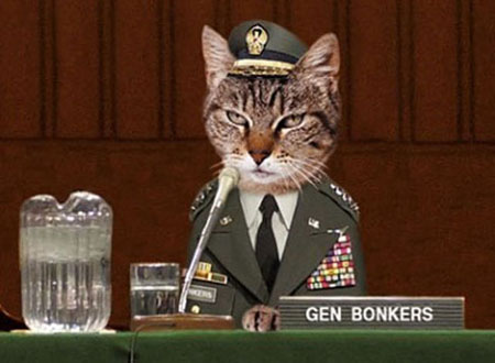 11 Señales Inequivocas De Que Tu Gato Está Intentando Matarte