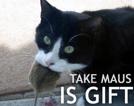 11 Señales Inequivocas De Que Tu Gato Está Intentando Matarte