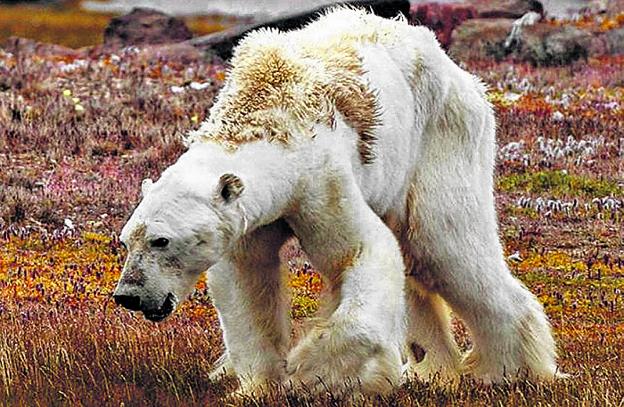 El falso rostro del cambio climático