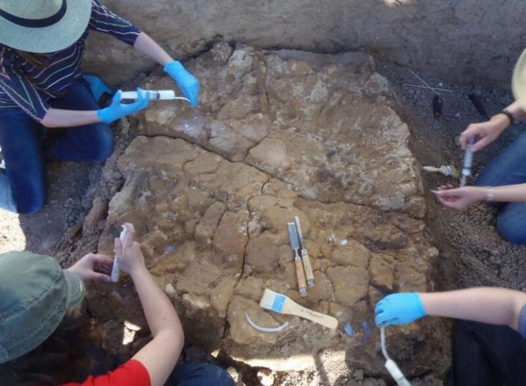 Descubren en Sevilla una cabaña prehistórica con «notable» estado de conservación