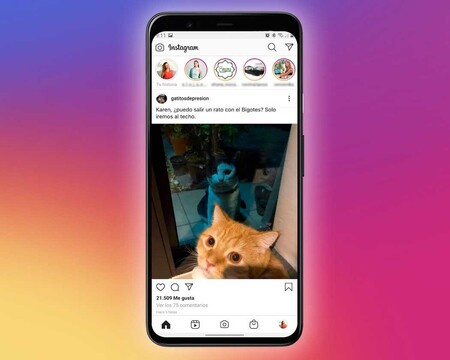 Instagram No Cambia Su Algoritmo Constantemente