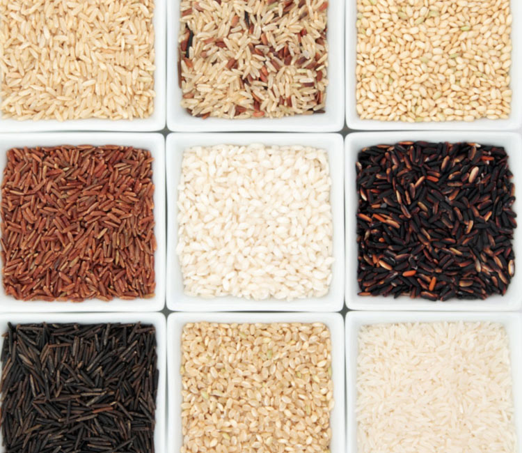 Saber las características de cada arroz