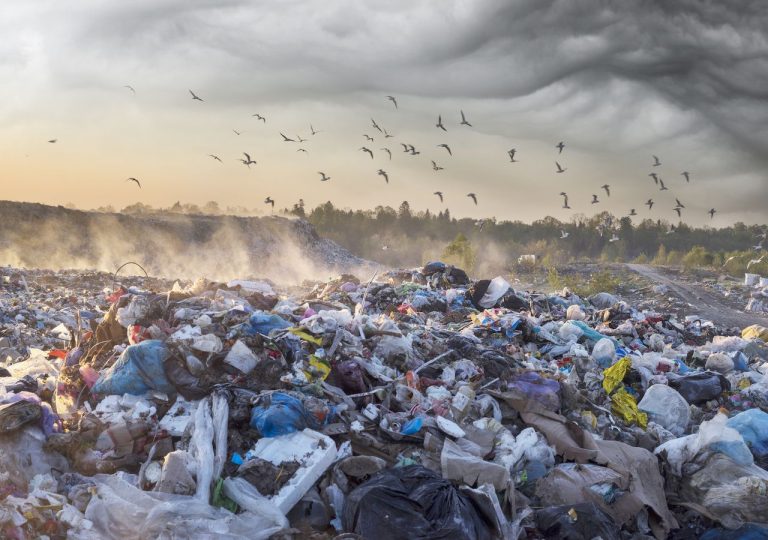 Qué es la contaminación