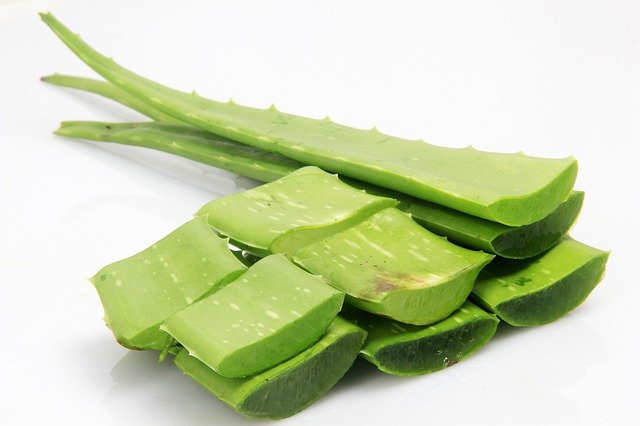 Cortar Una Hoja De Aloe Vera