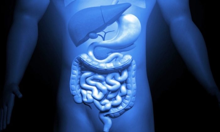 También en las patologías digestivas hubo un gran descenso