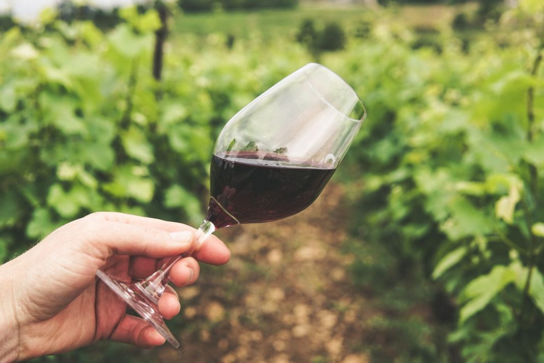Rías Baixas: frescura gallega en cada sorbo