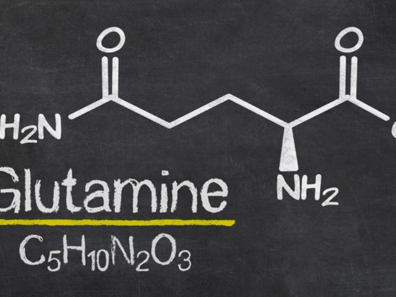 Funciones Elementales De La Glutamina