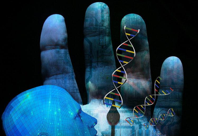 Genoma Humano 2