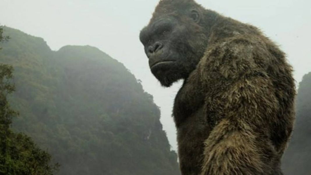 ¿Quién es King Kong?