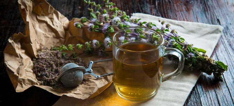 Infusiones De Plantas Medicinales