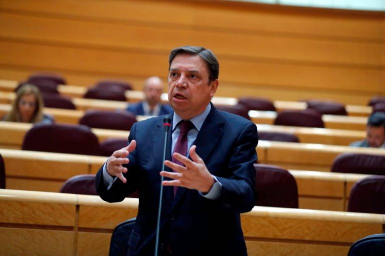 Planas confía en los seguros agrarios como «respuesta» a los daños de ‘Filomena’ en los cultivos