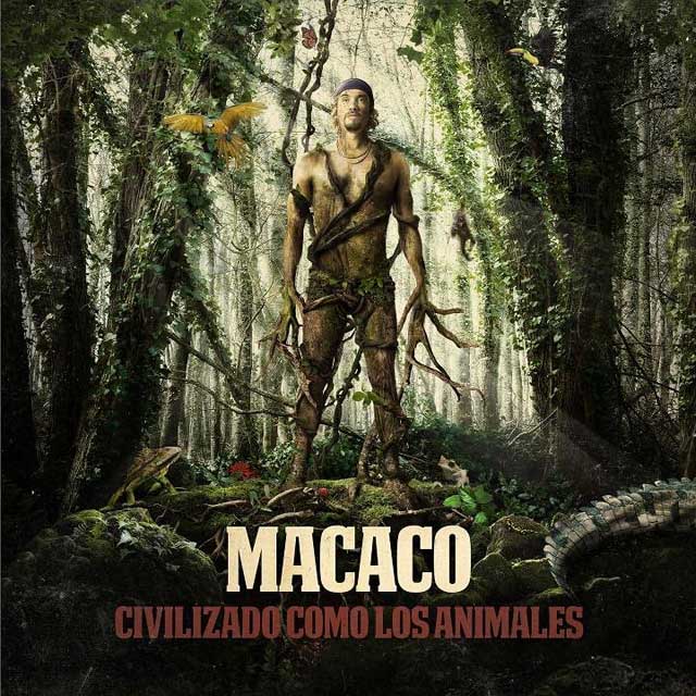 Macaco Civilizados Como Los Animales Lenguas De Signos Monsieur Periné