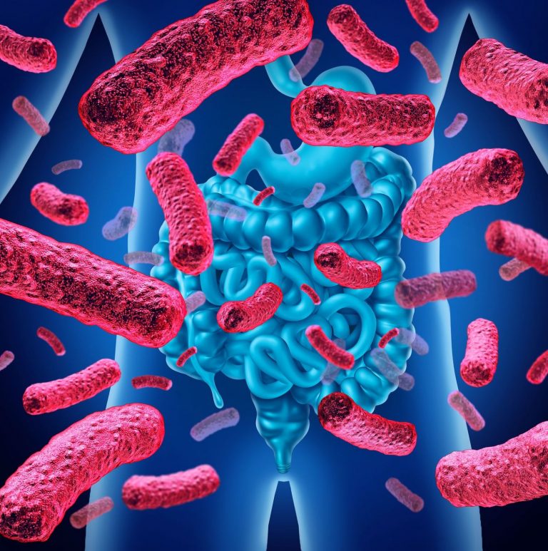 Científicos del CSIC describen un nuevo método de edición de la microbiota intestinal