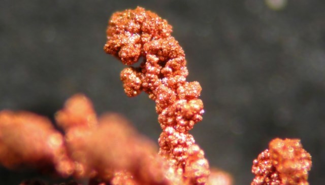 Nanopartículas De Cobre