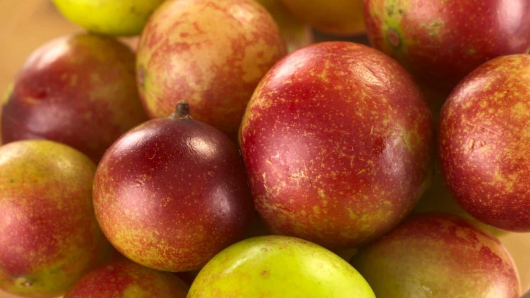 Camu-Camu
