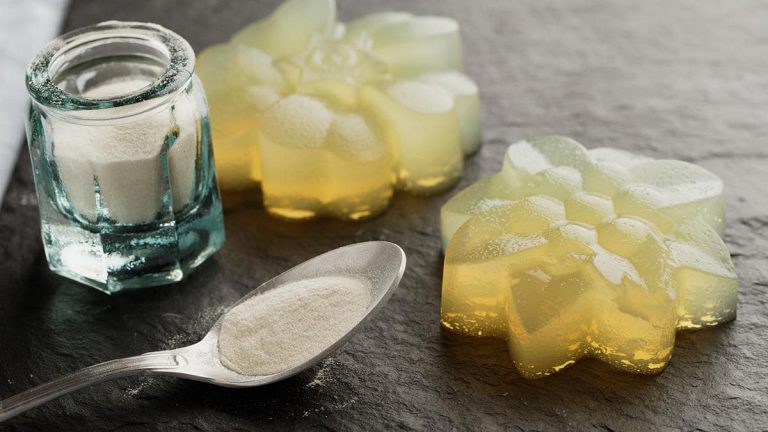Qué es agar agar