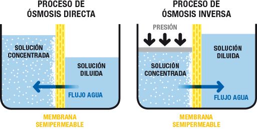 ¿Cómo Se Produce La Ósmosis?