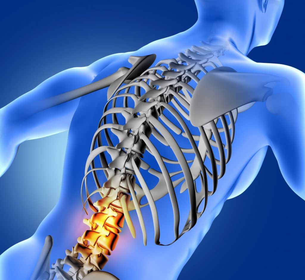 Patología De La Columna Vertebral
