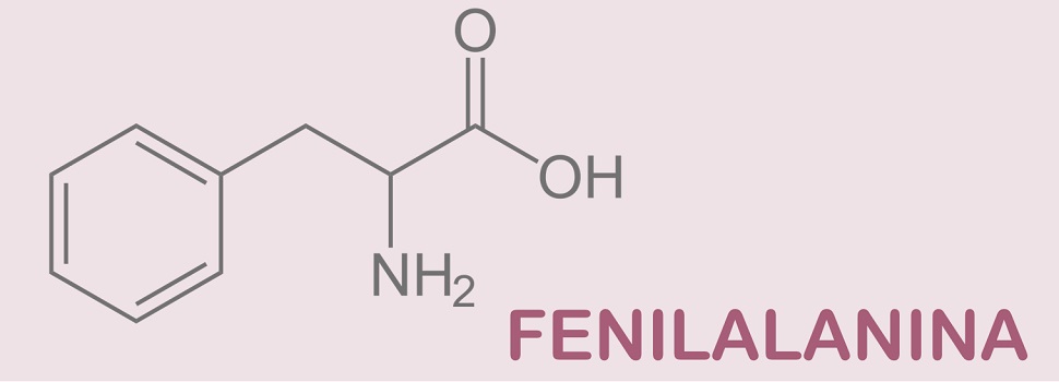 Qué Es La Fenilalanina 2 Aplicaciones De La Fenilalanina