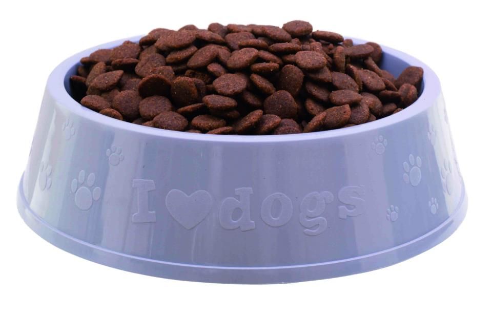 El Error Más Catastrófico Que Cometes Todos Los Días Cuando Le Das La Comida A Tu Perro