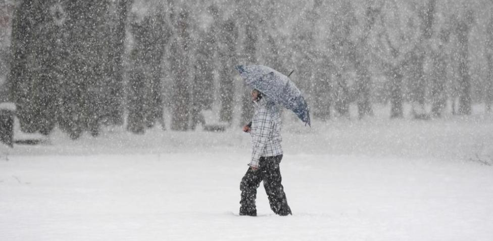 Los Copos De Nieve, Bien Retratados, Siempre Son Una Buena Elección Para Tus Composicions.