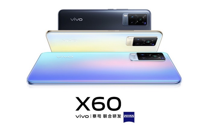 diseño vivo x60