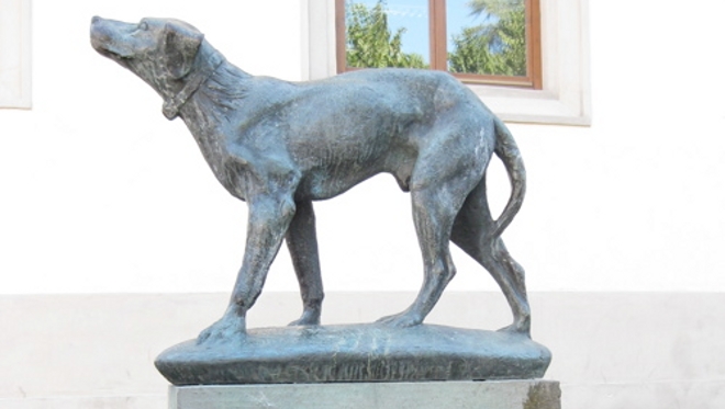9 Pruebas De Que El Perro Es
