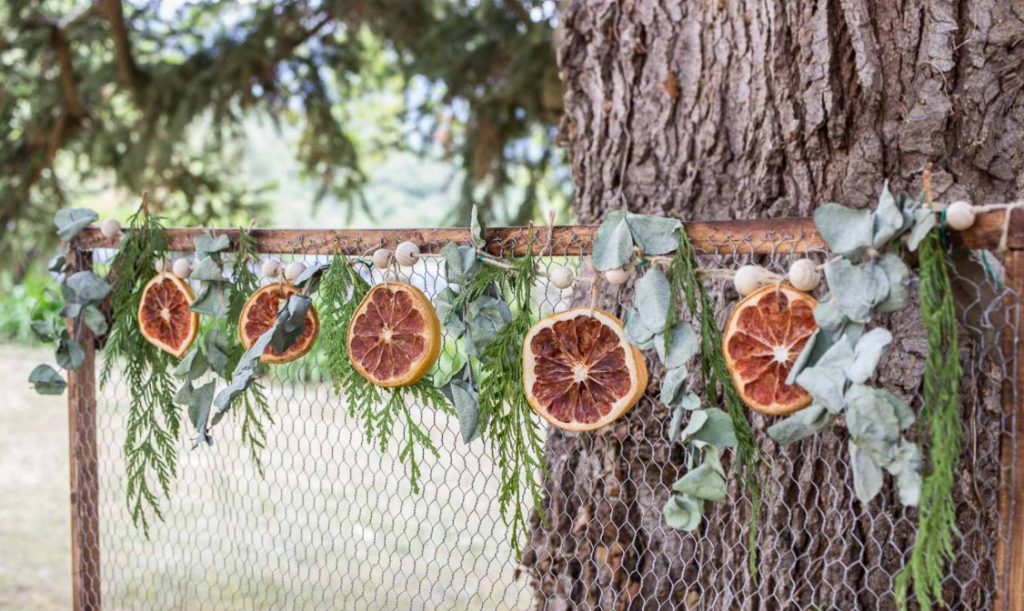 Las Frutas Desecadas Al Sol