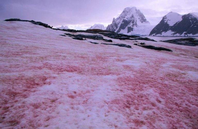 Por qué la nieve no es blanca y otras curiosidades sobre este elemento