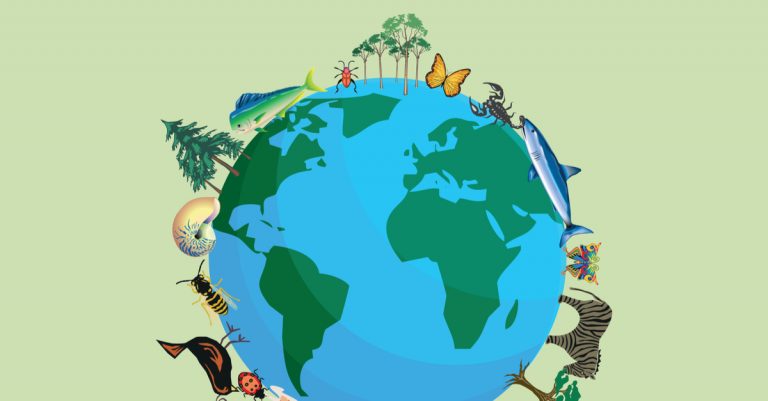 Mandatarios de todo el mundo participan en la cumbre ‘Un planeta para la biodiversidad’