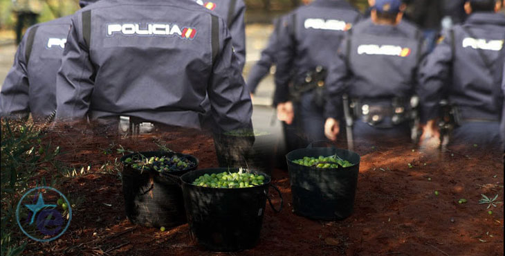 Liberan a once personas explotadas laboralmente y obligadas a vivir hacinadas