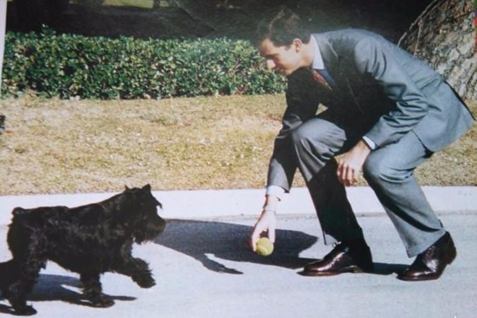 A Felipe Vi Siempre Le Han Gustado Los Perros.