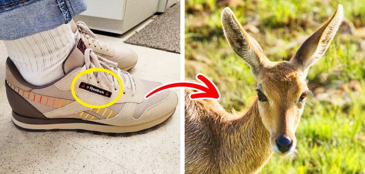 Lego, Reebok Y Otras Marcas Cuyos Orígenes No Son Los De Ahora