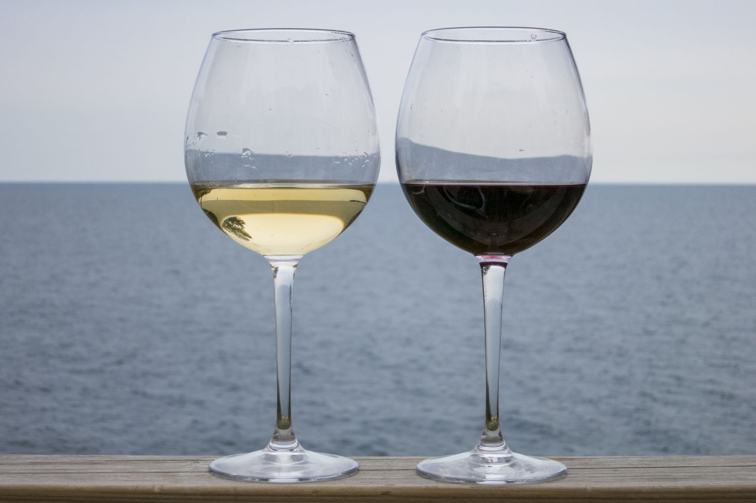 Vino De Calidad