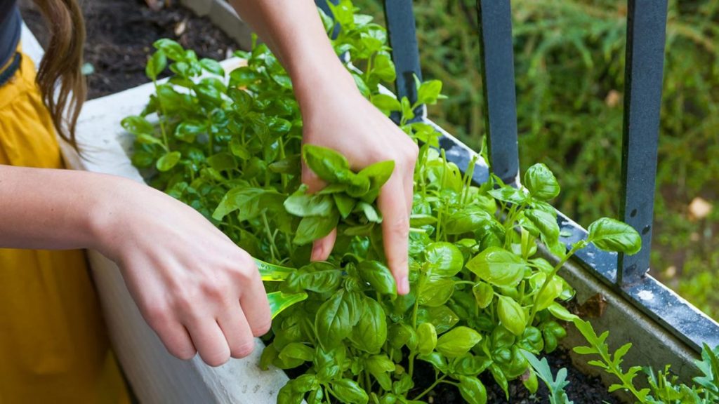 10 Alimentos Que Duran Más Fuera De La Nevera