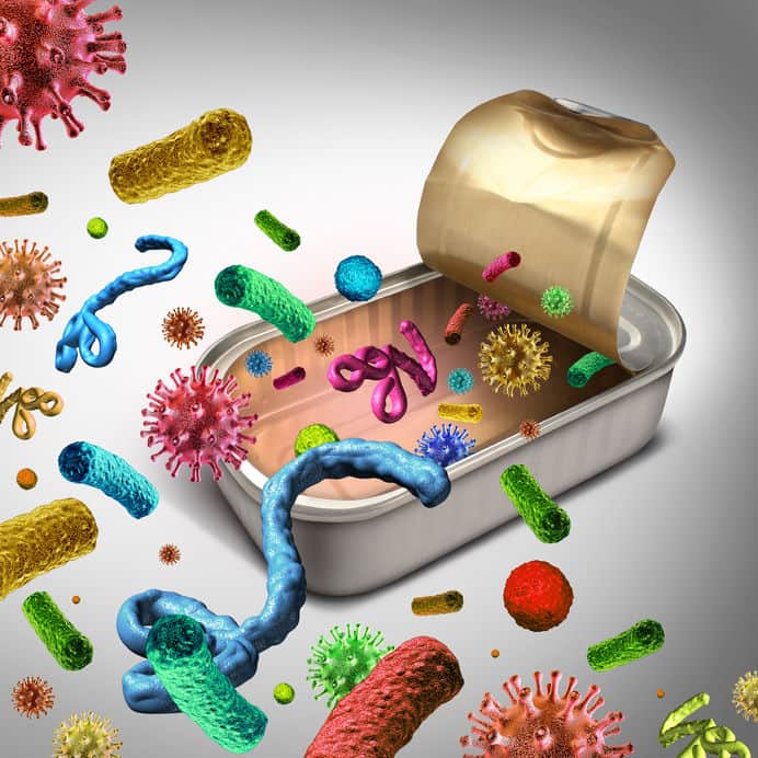 Aparecen Las Bacterias Alimento
