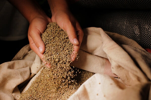 Cómo Hacer Una 'Palomita' De Anís 6 Aprendamos Más Sobre El Anís De Nuestra Palomita Española