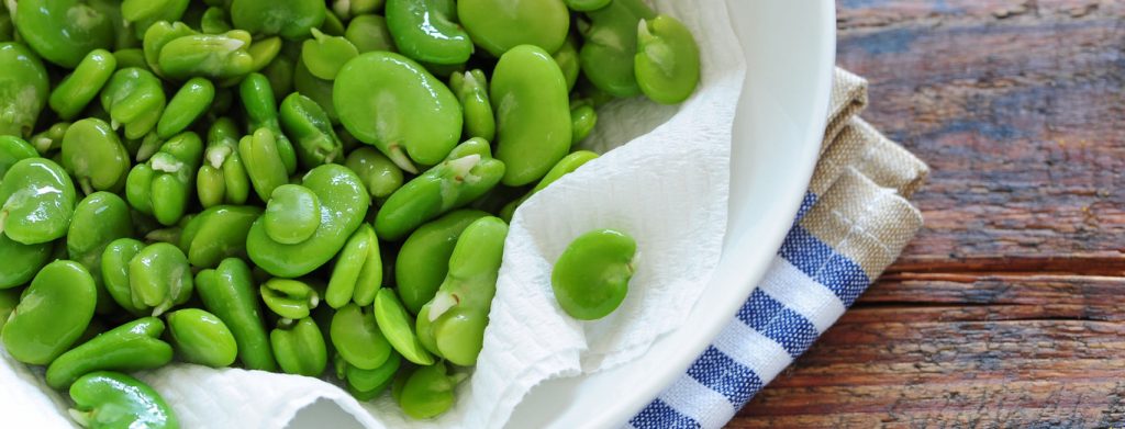 ¿Cómo Cocinar Las Habas Cocidas?