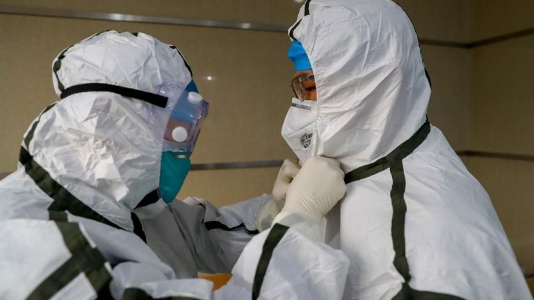 La OMS y China concluyen que el coronavirus es de origen animal