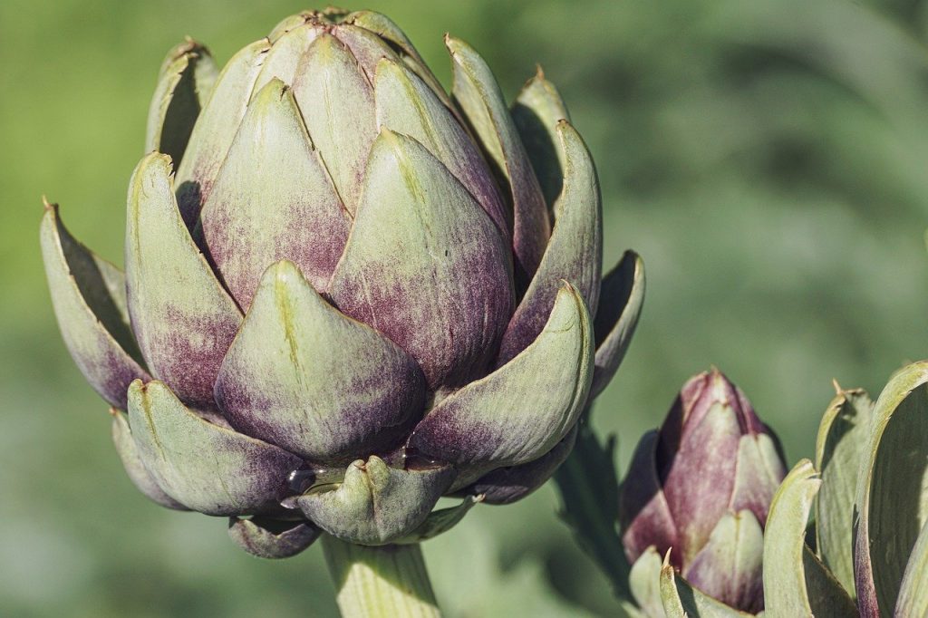 Una Blanqueta Con Harina