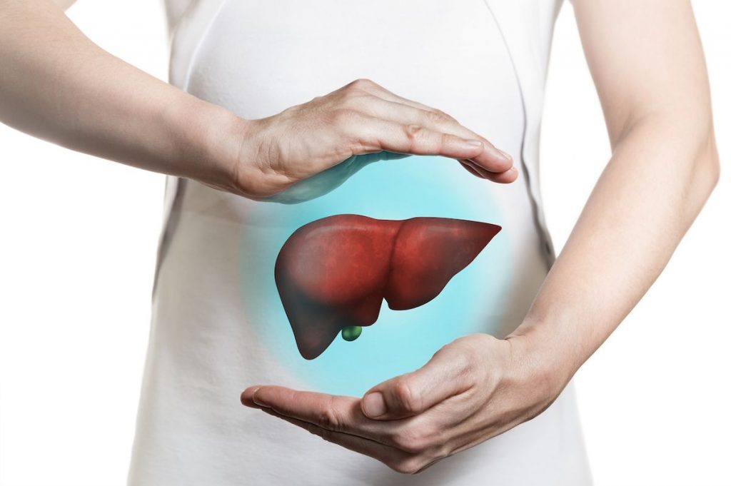 Este Es El Órgano De Tu Cuerpo Que Se Regenera Solo 135 Funcionamiento Del Hígado