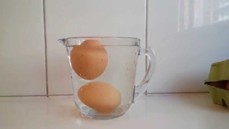 Cómo saber si un huevo está bueno