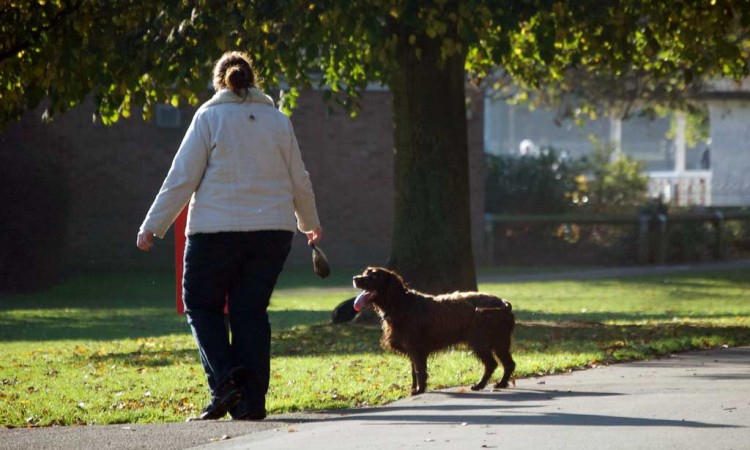Las multas por no recoger excrementos de perro no llegan a dos al mes