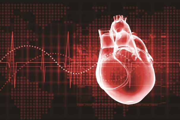 Latidos Irregulares En El Corazón Paro Cardíaco