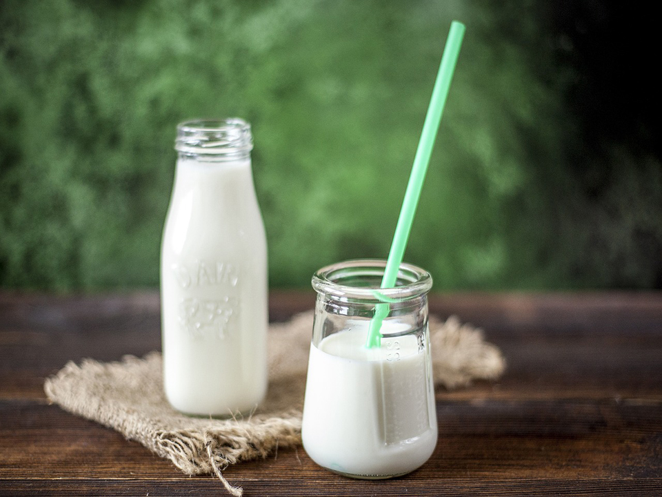 Leche Sin Pasteurizar Alimentos Bacteria E.coli