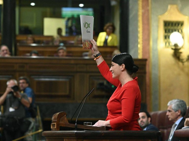 Vox pide amparo en el Congreso para condenar los ataques a su campaña