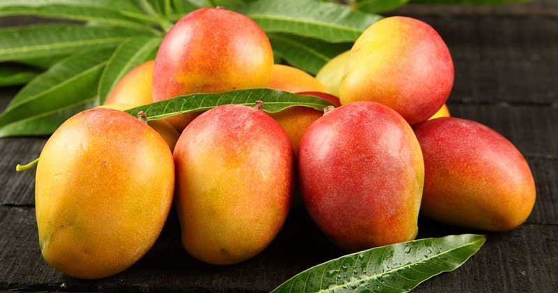 Mango