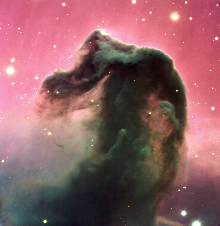 Nebulosa Oscura - Cabeza De Caballo