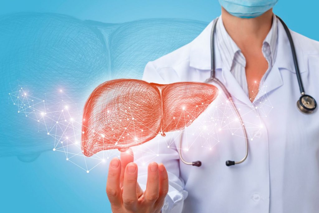Este Es El Órgano De Tu Cuerpo Que Se Regenera Solo 133 Qué Es La Regeneración